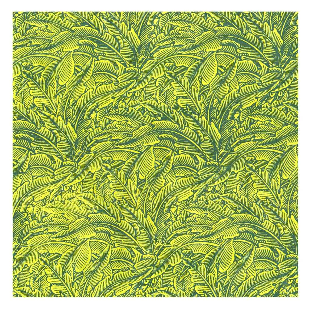 Lamali Decorative Lokta Paper Greenery Small 60gsm 20in x 30in, Avocado
