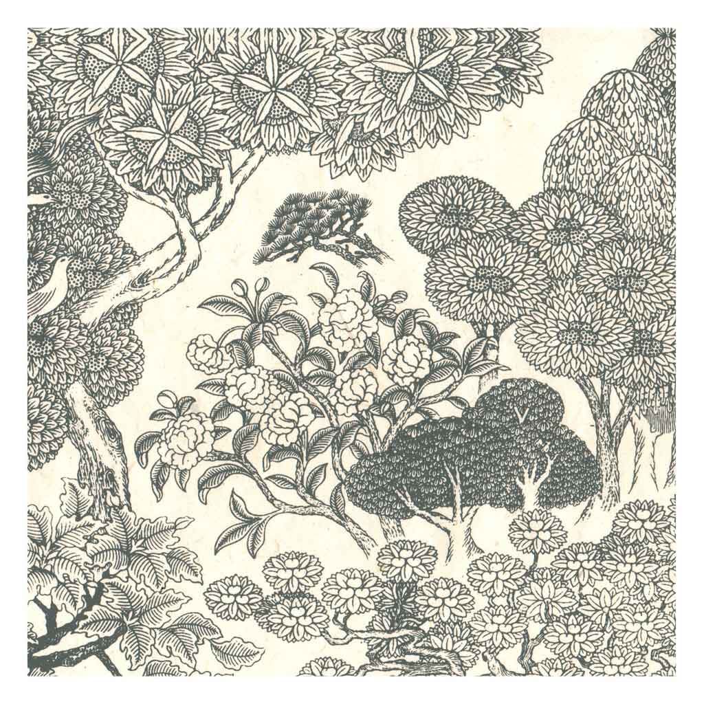 Lamali Decorative Lokta Paper Kongpo 60gsm 20in x 30in, Cashew