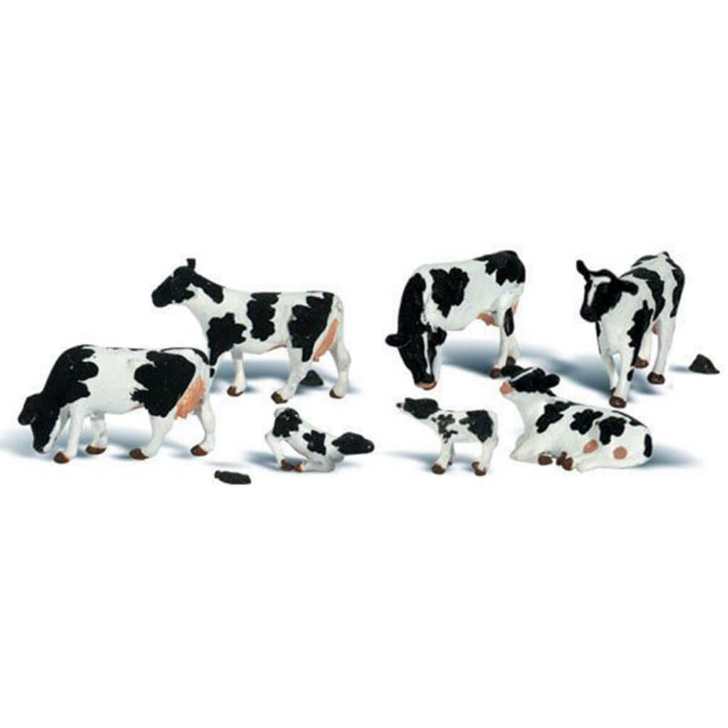 Ho Holstein Cows