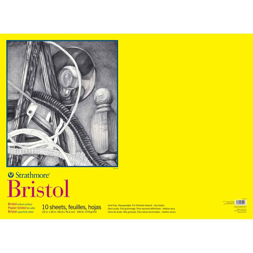 Bristol Paper Pads Series 300, Vellum, 22in x 30in, 10 Sheets