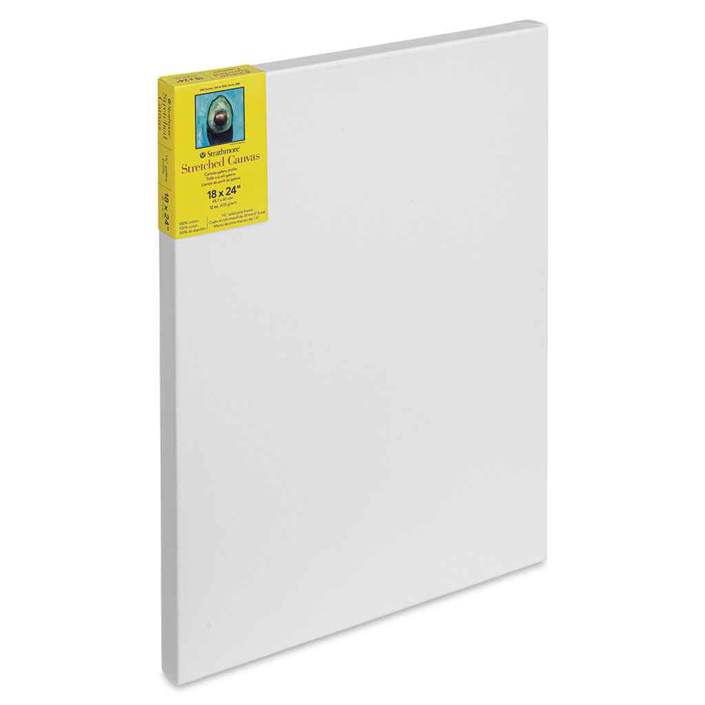 300 Series Gallery Stretch Canvas 18in x 24in