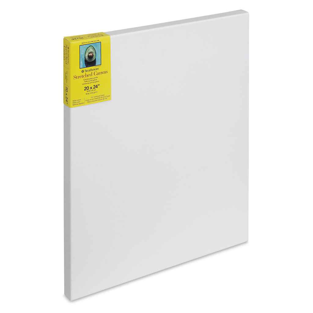 300 Series Gallery Stretch Canvas 20in x 24in