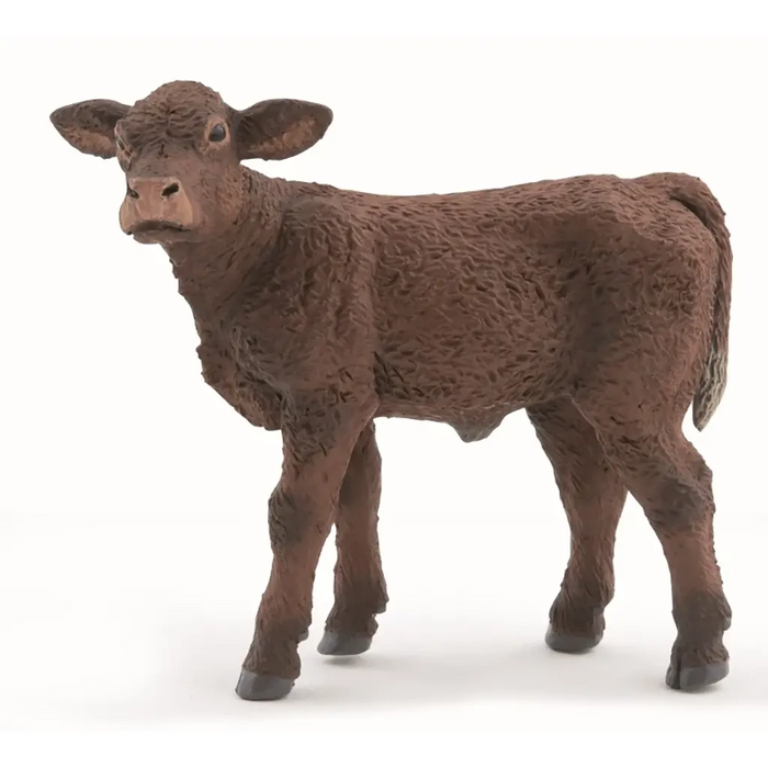 Papo Saler's Calf