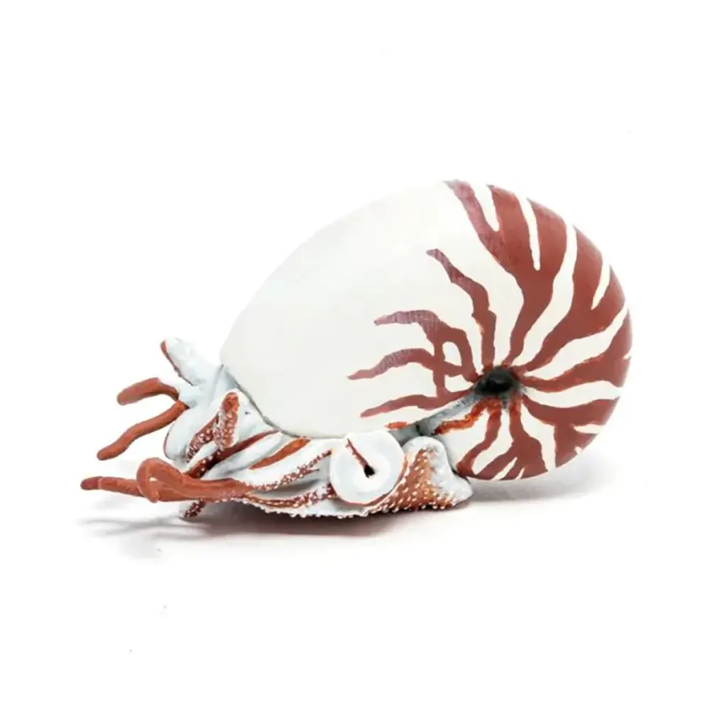 Papo Nautilus