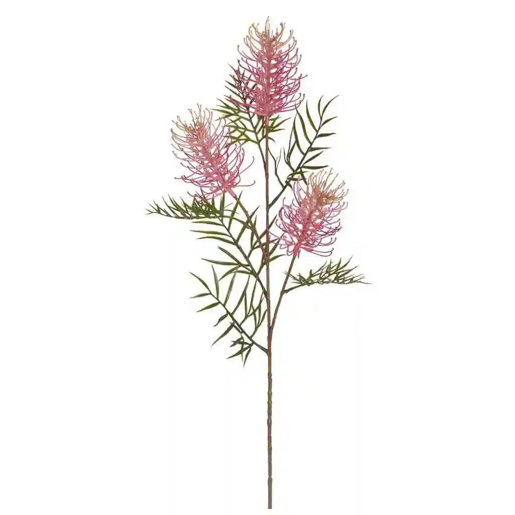 33IN Grevillea Banksii Spray�Pink