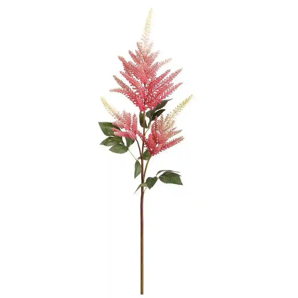 34IN Astilbe Spray�Teaberry