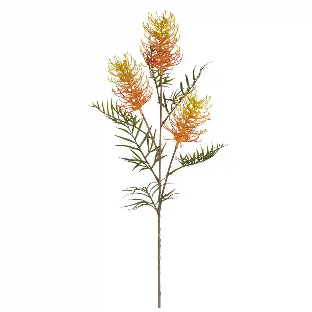33IN Grevillea Banksii Spray�Yellow