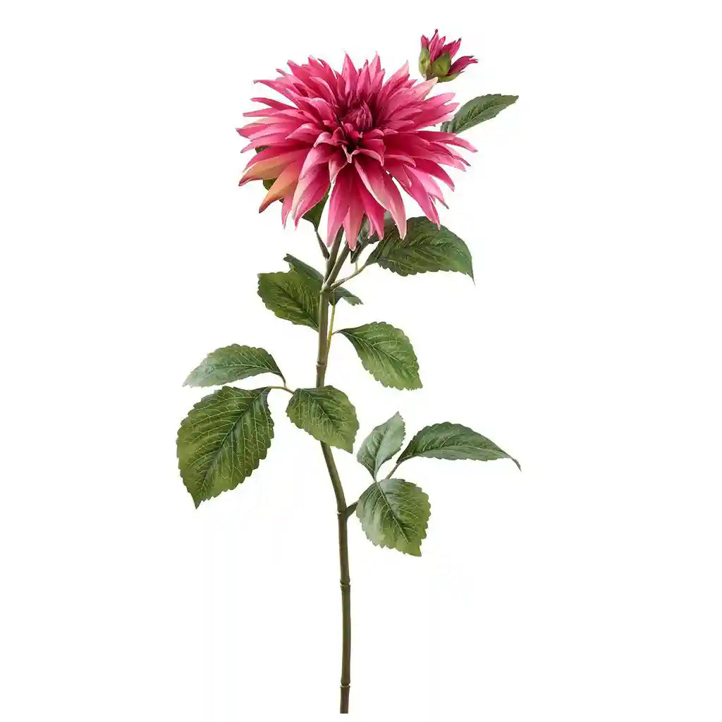 29IN Dahlia Spray�Beauty