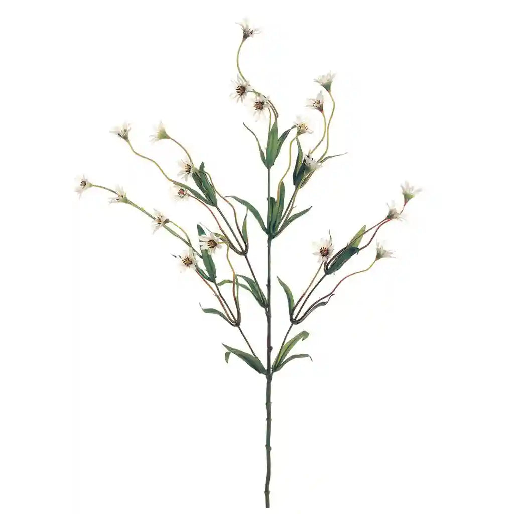 29IN Wild Daisy Spray�Cream White
