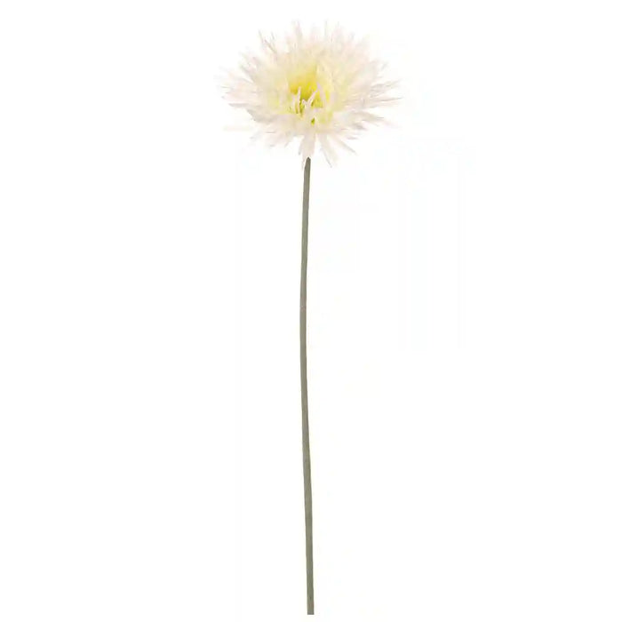 26IN Spider Gerbera Daisy�Spray�White