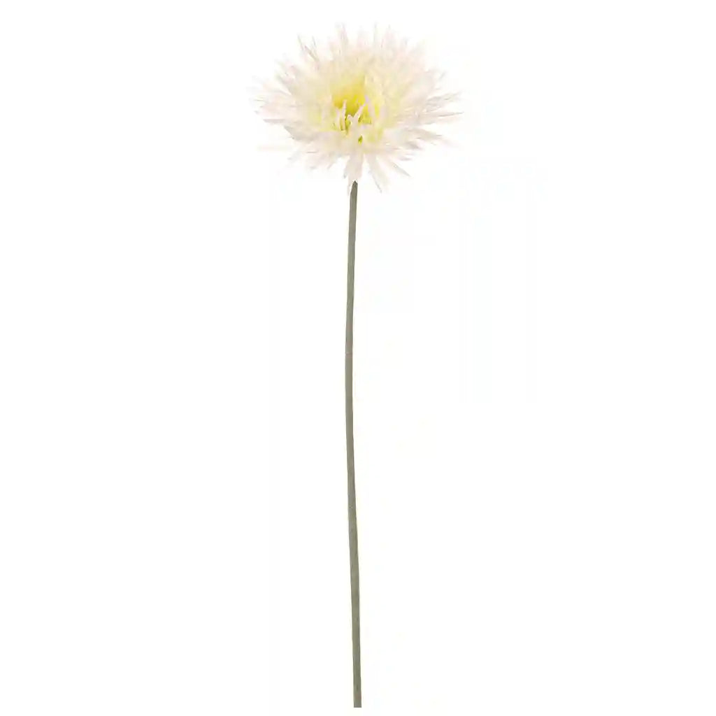 26IN Spider Gerbera Daisy�Spray�White