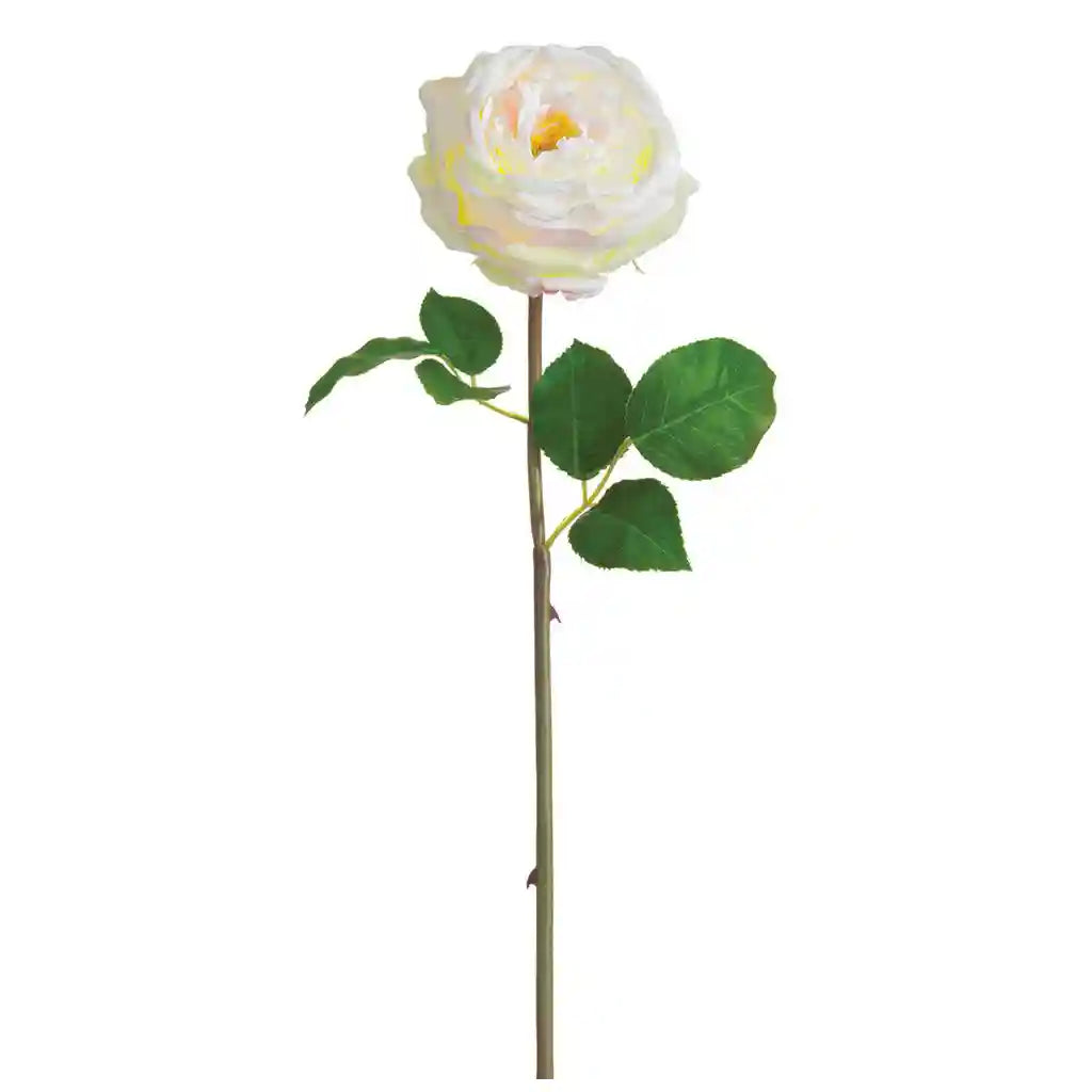 20IN Cabbage Rose Bud Spray�Cream Blush