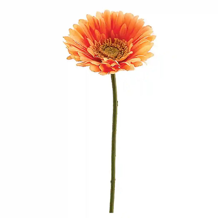 21IN Medium Gerbera Daisy�Spray x1�Orange