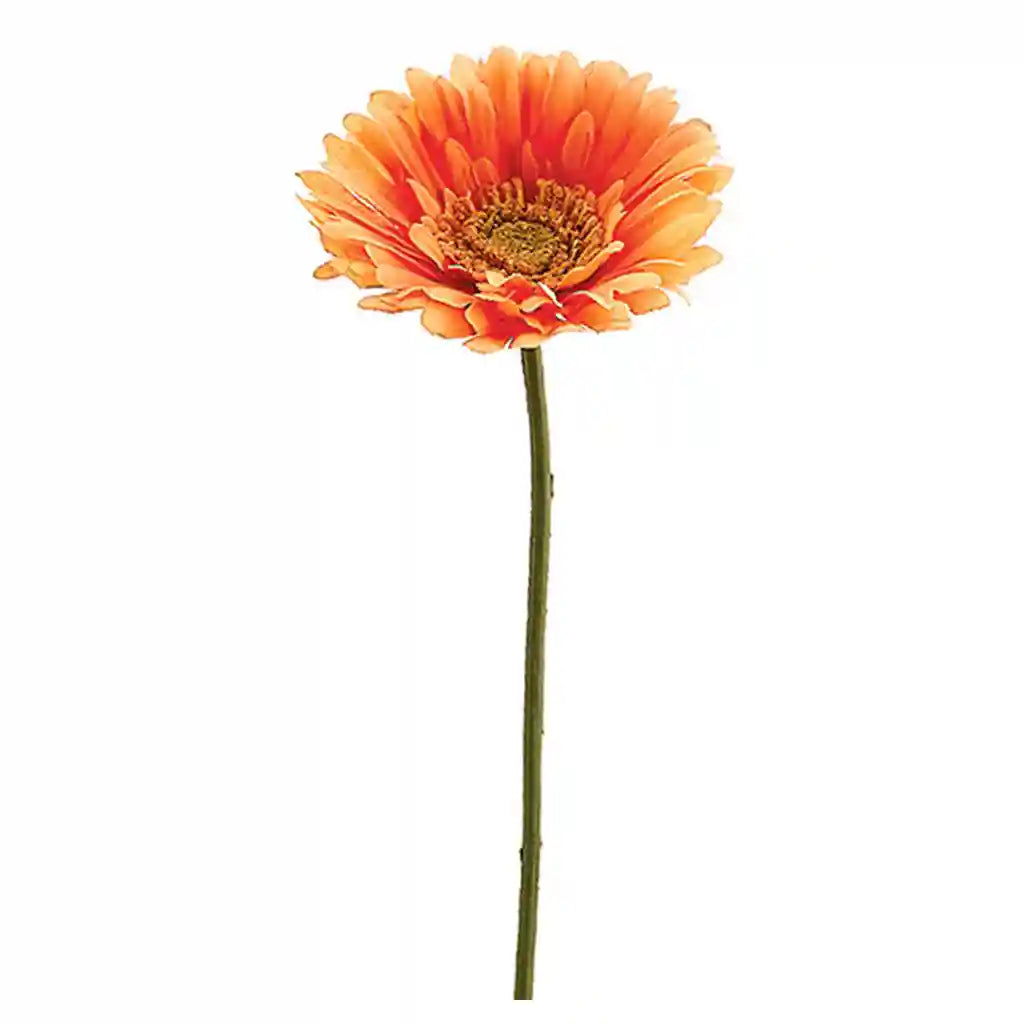 21IN Medium Gerbera Daisy�Spray x1�Orange