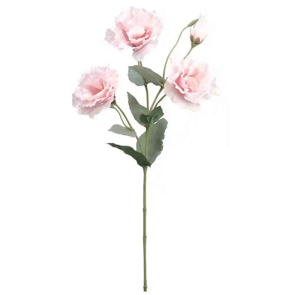 21IN Lisianthus Spray�Pink