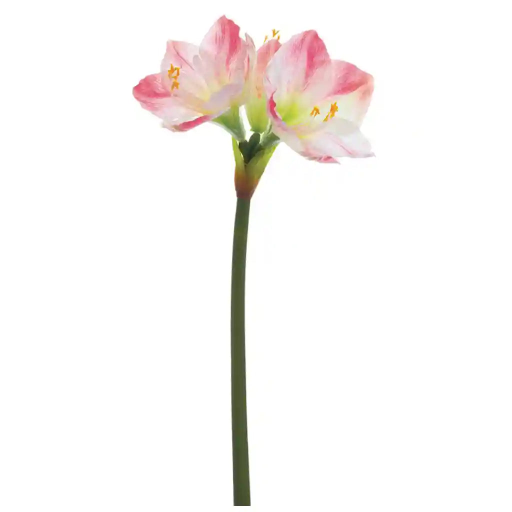 26IN Amaryllis Spray�White Pink