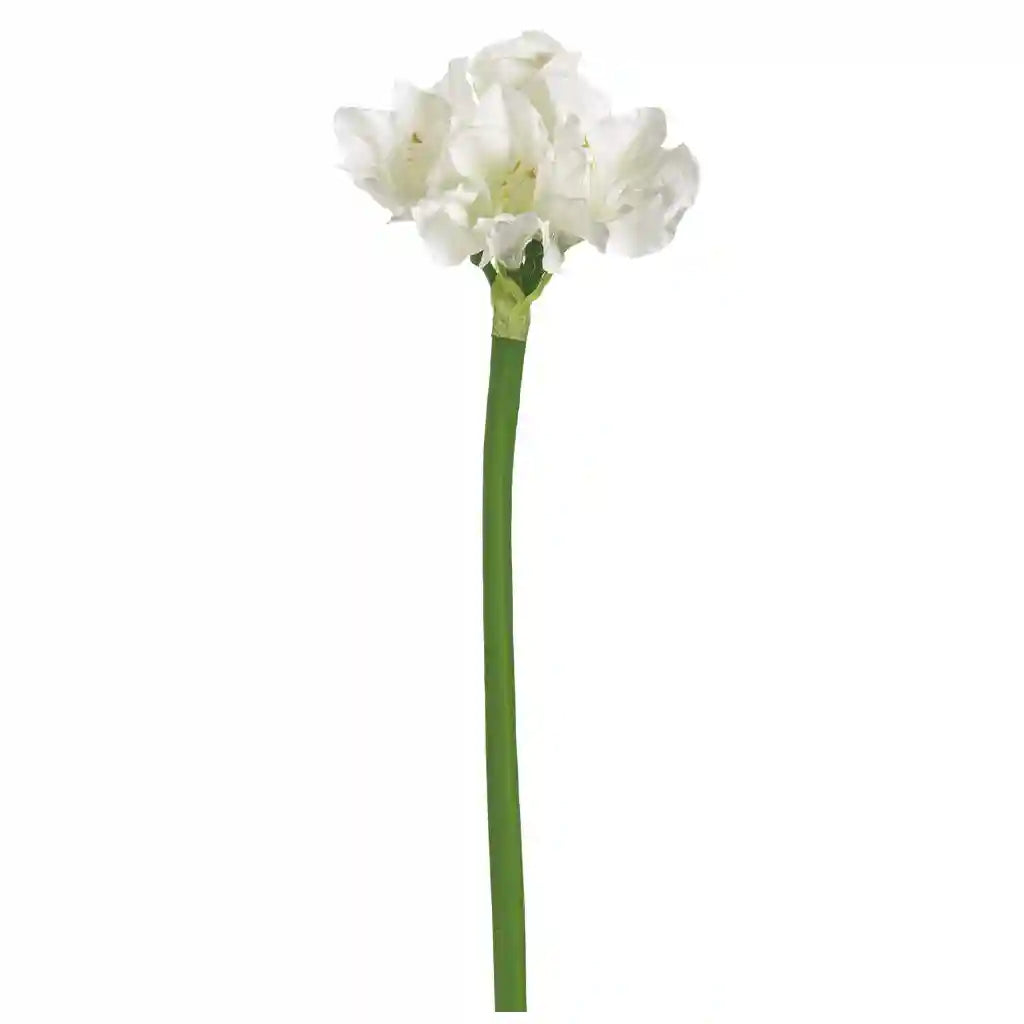30IN Real Touch Amaryllis�Spray�White