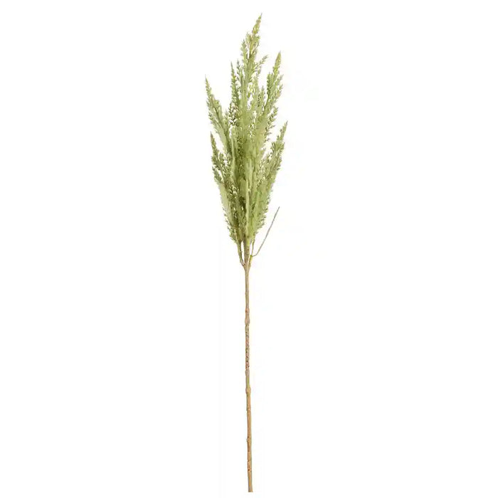 32IN Pampas Grass Spray�Green