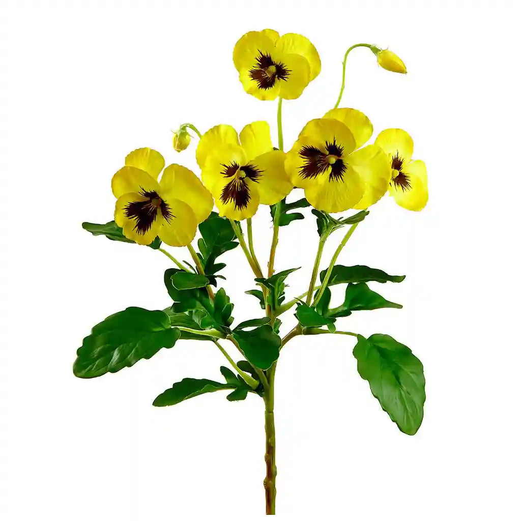 15IN Pansy Spray�Yellow