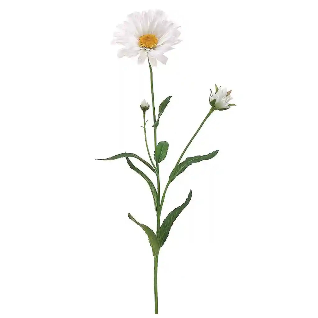 27IN Shasta Daisy Spray�White