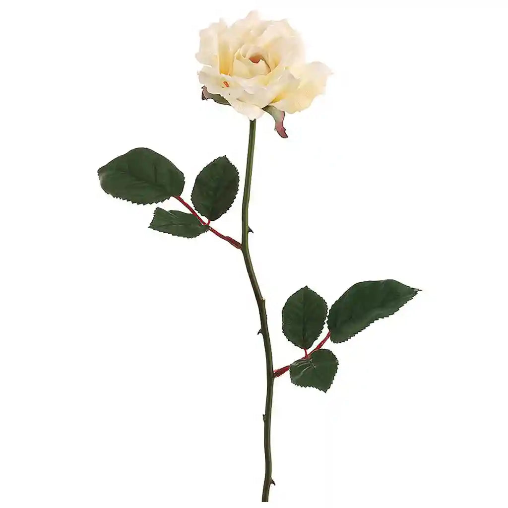 23IN Single Medium Rose Spray�x1�Vanilla