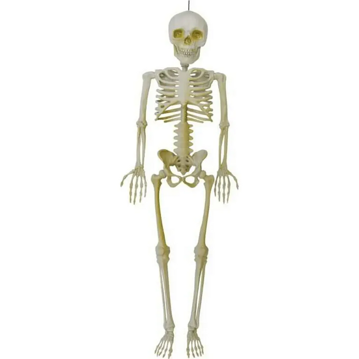 Hanging Skeleton, 15.7in