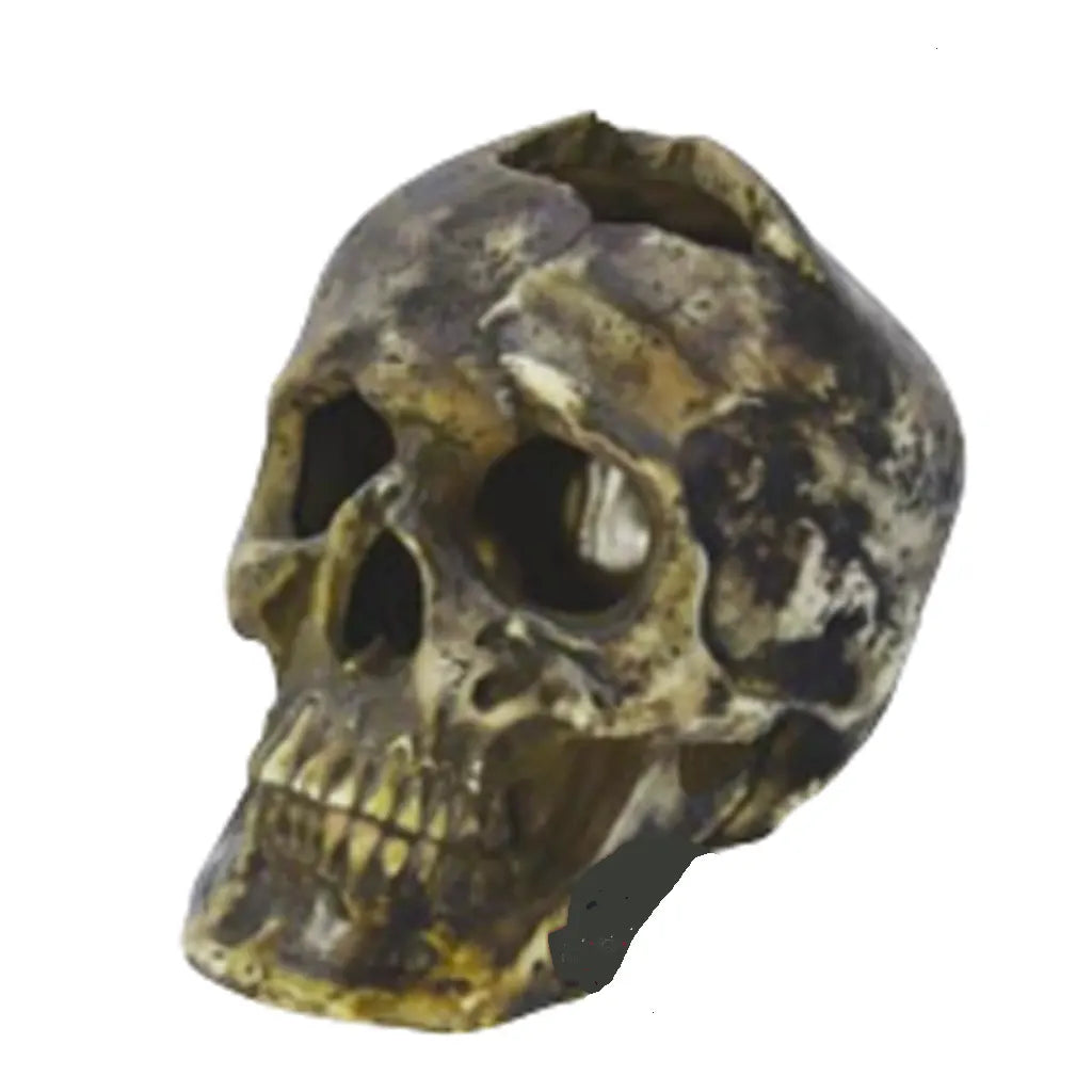 Cracked Brown Skull, 8.3in