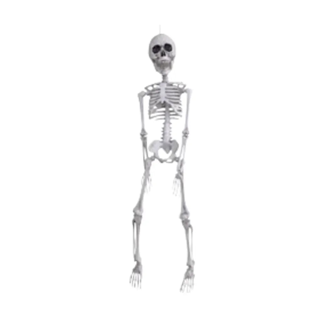 Plastic Realistic Skeleton, 20in