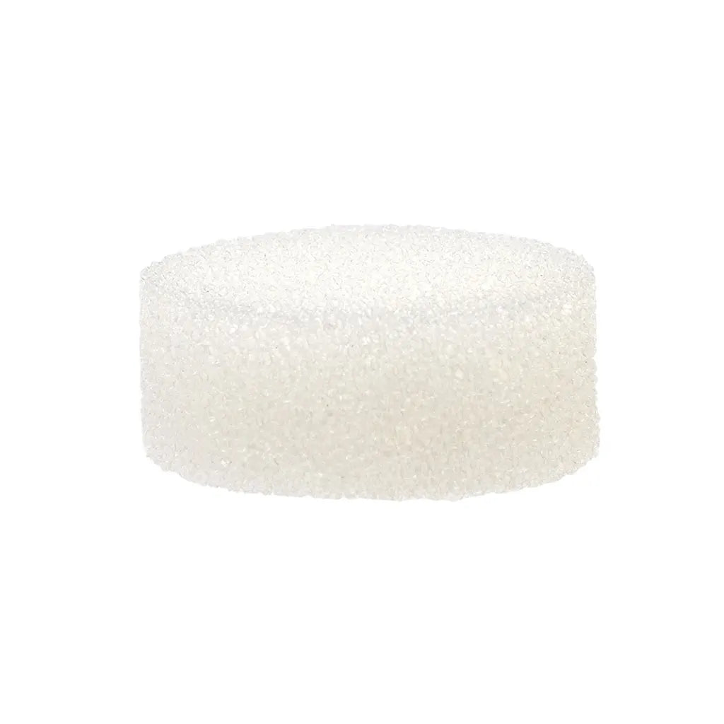Iwata Compressor Air Intake Filter Replacement 10 pack