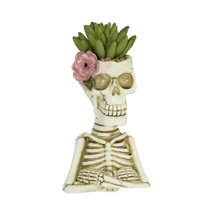 Skeleton Succulent 8.5in