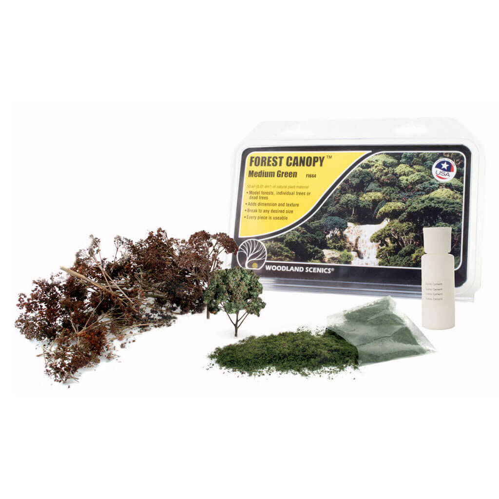 Medium Green Forest Canopy