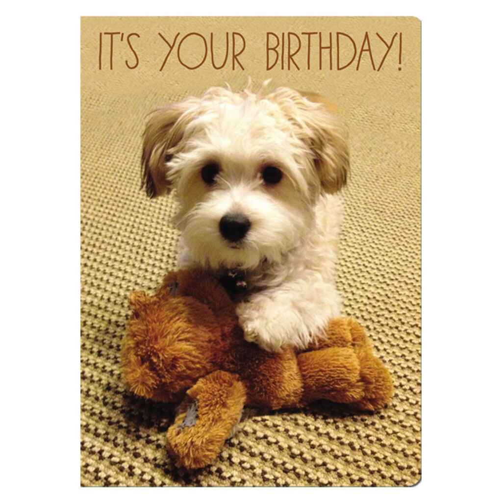 I've Got a Hug for You Greeting Card