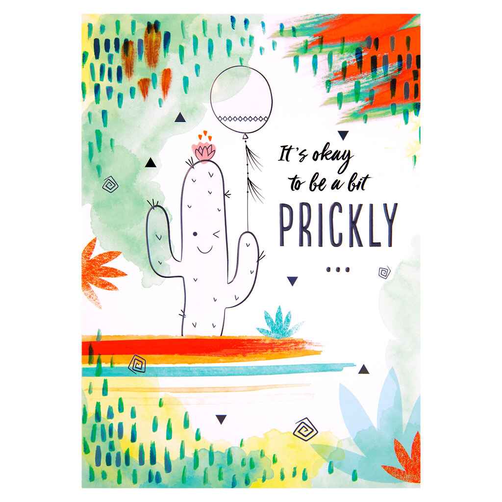 Amigo Birthday Cactus Greeting Card