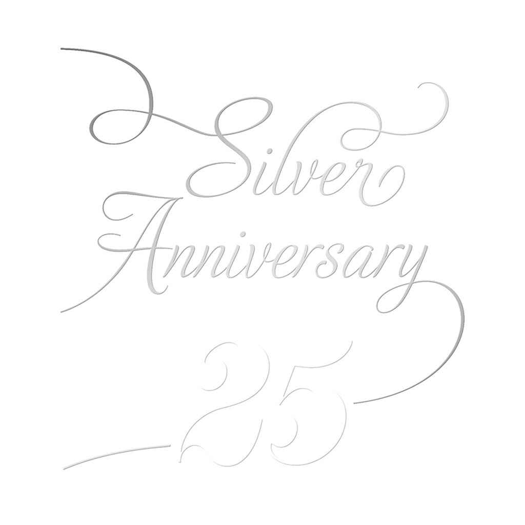Silver Anniversary Greeting Card