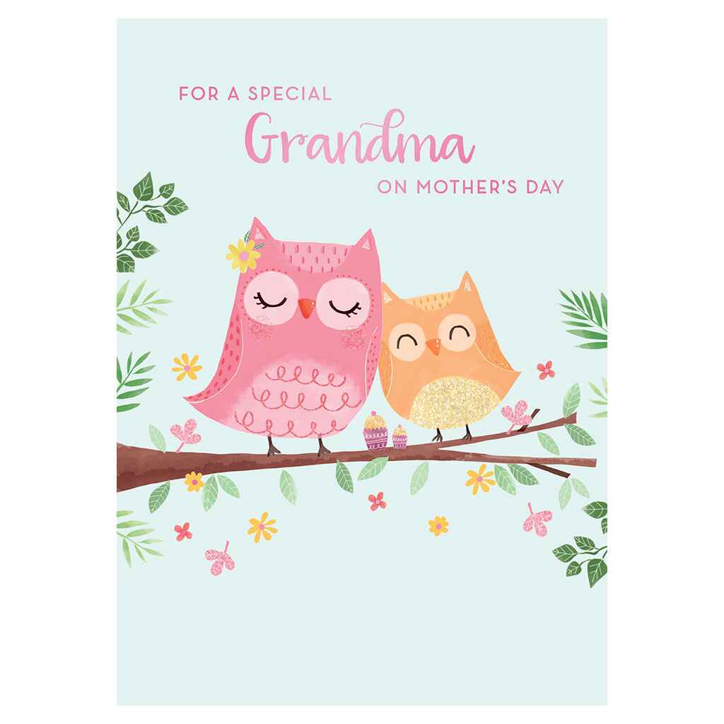 Grandma and Young Owl Greeting Card