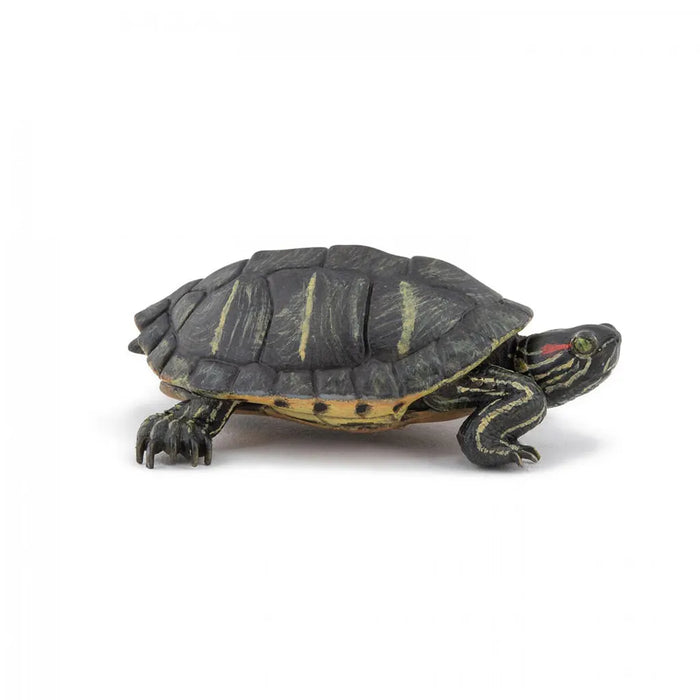 Papo Florida Tortoise
