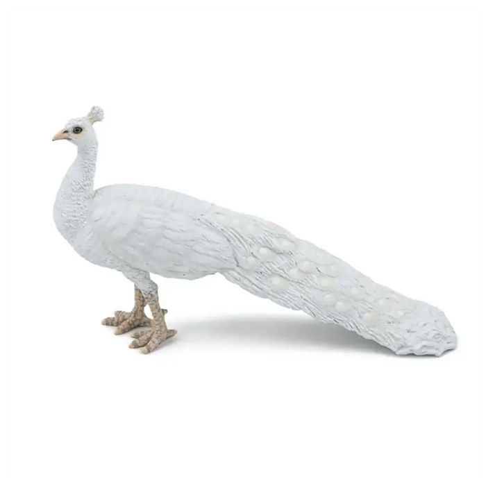 Papo White Peacock