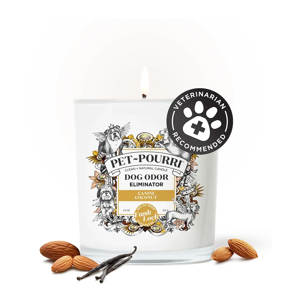 Pet Pourri Odor Eliminator Candle Canine Coconut Dog, 7.5oz