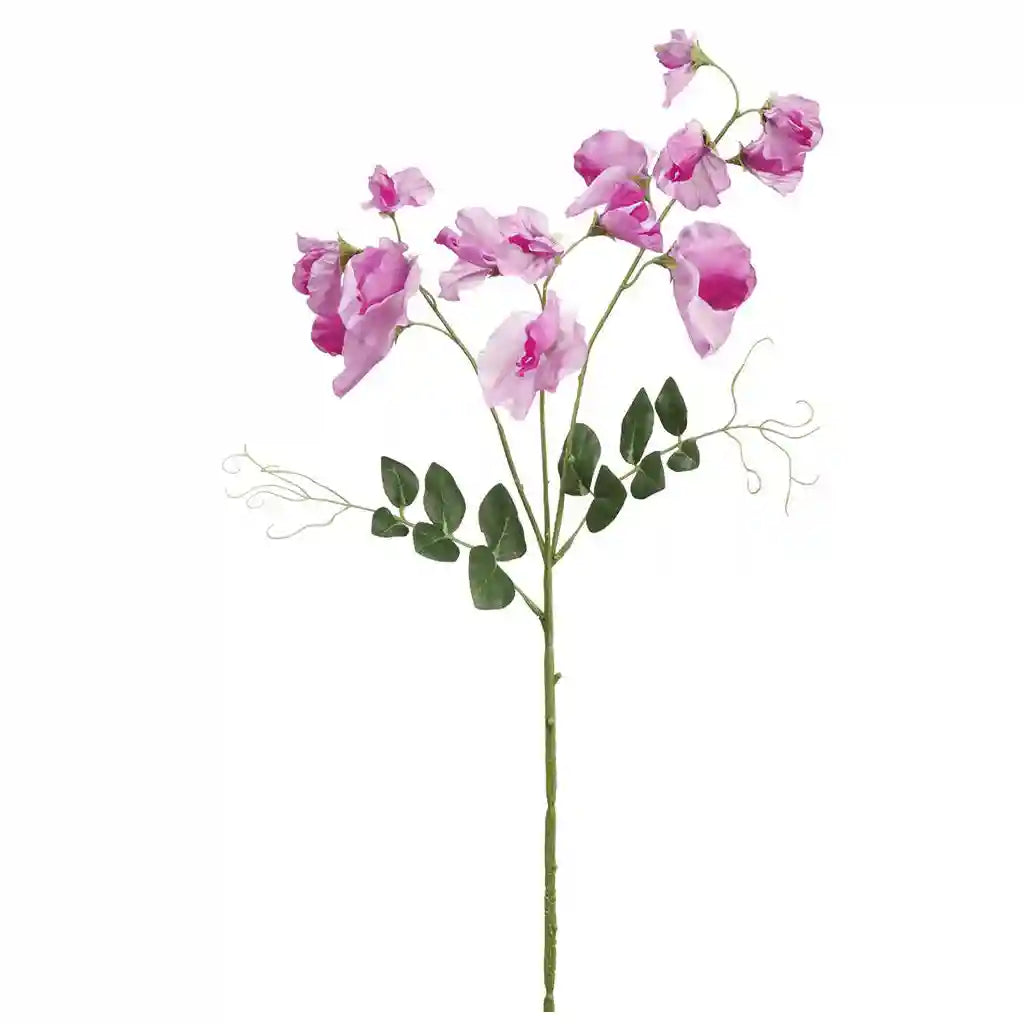Sweetpea Spray x3��26.75"  Fuchsia