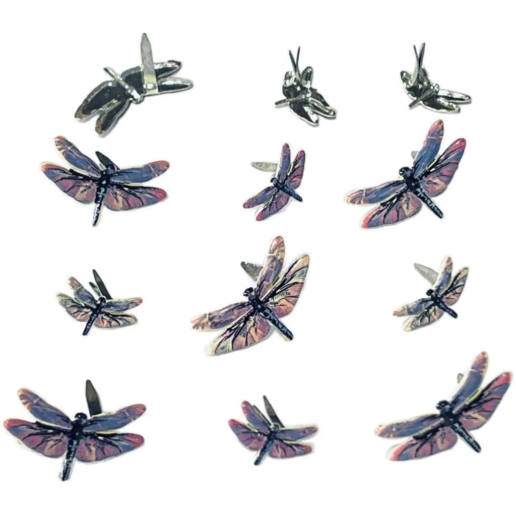Eyelet Outlet Shape Brads 12/Pkg Dragonfly