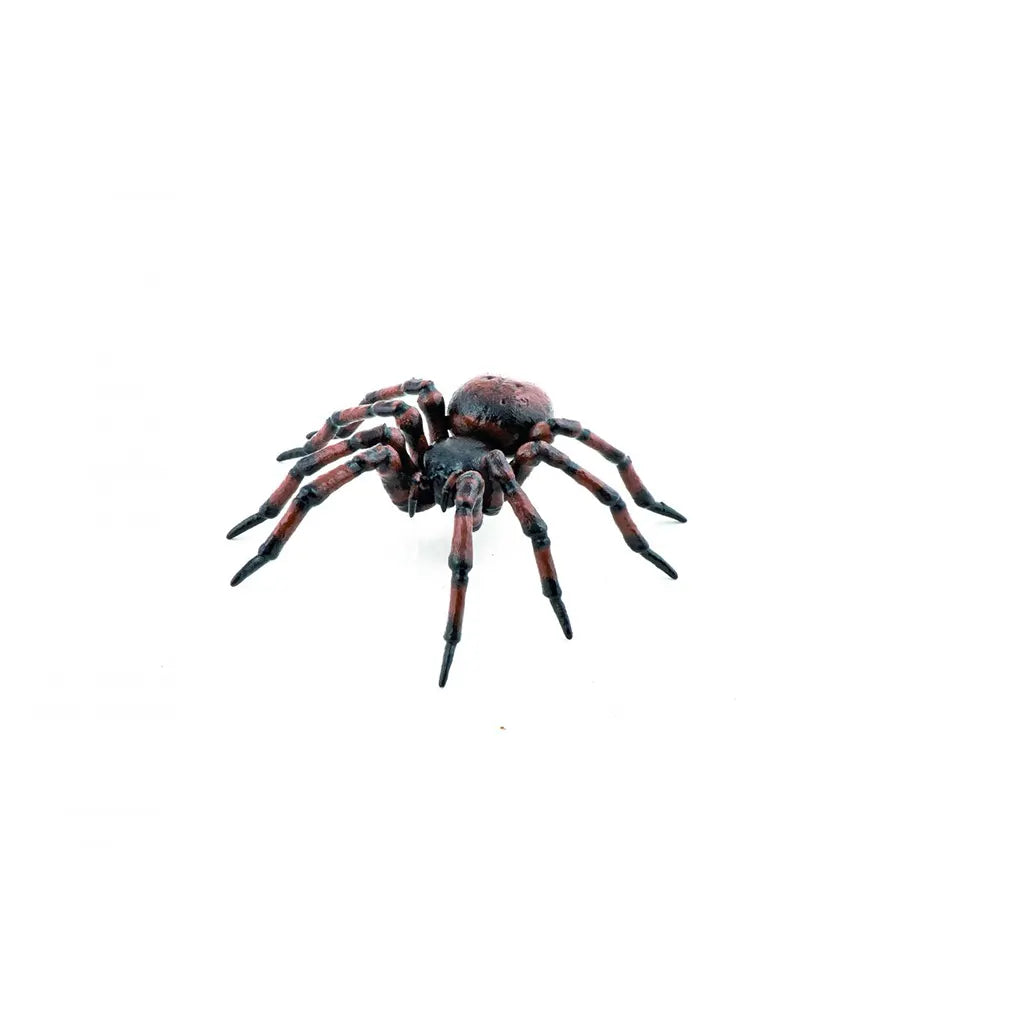 Papo Common Spider