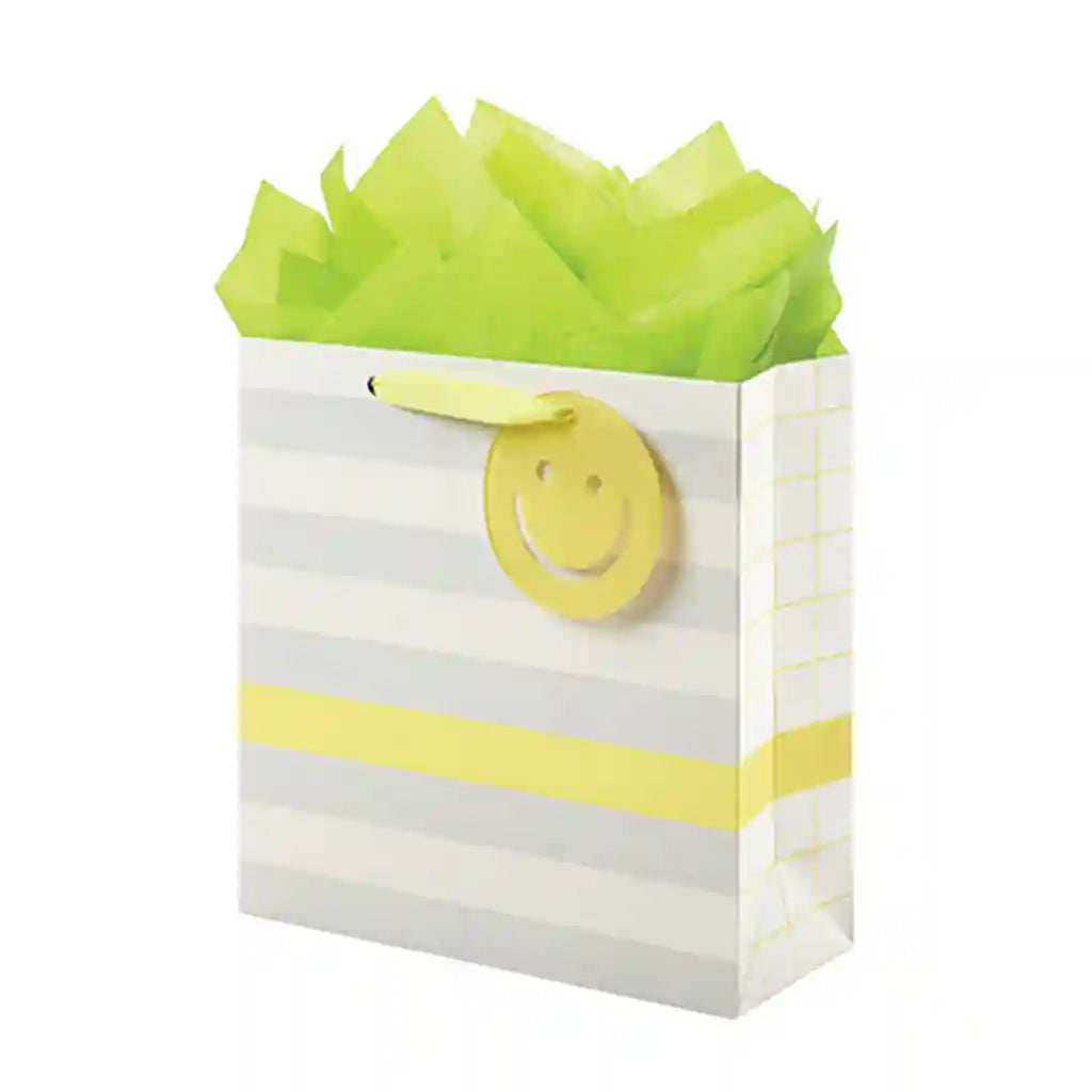 Stripe &amp; Checkerboard Medium Square Bag