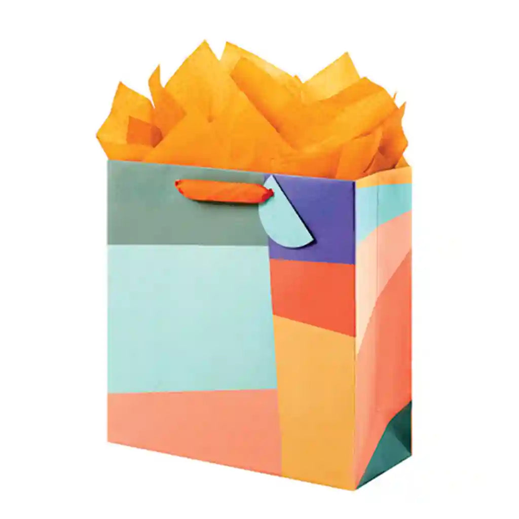 Modern Color Medium Square Bag