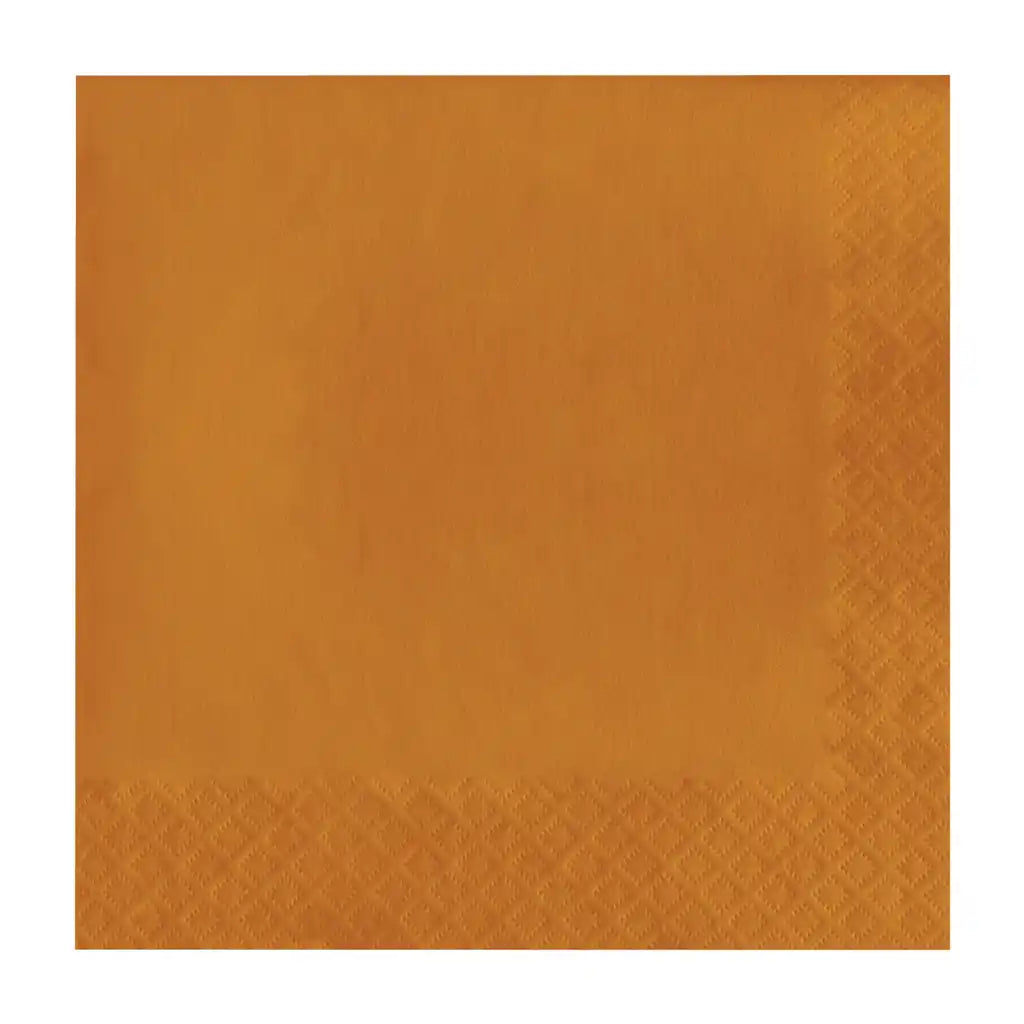 Pumpkin Spice Luncheon Napkins 50ct, 2Ply