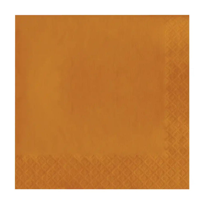 Pumpkin Spice Luncheon Napkins 50ct, 2Ply