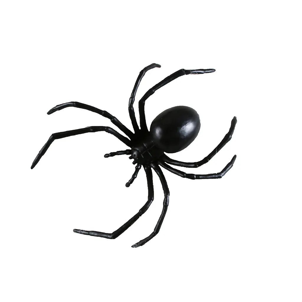 Black Widow Spider, 6in