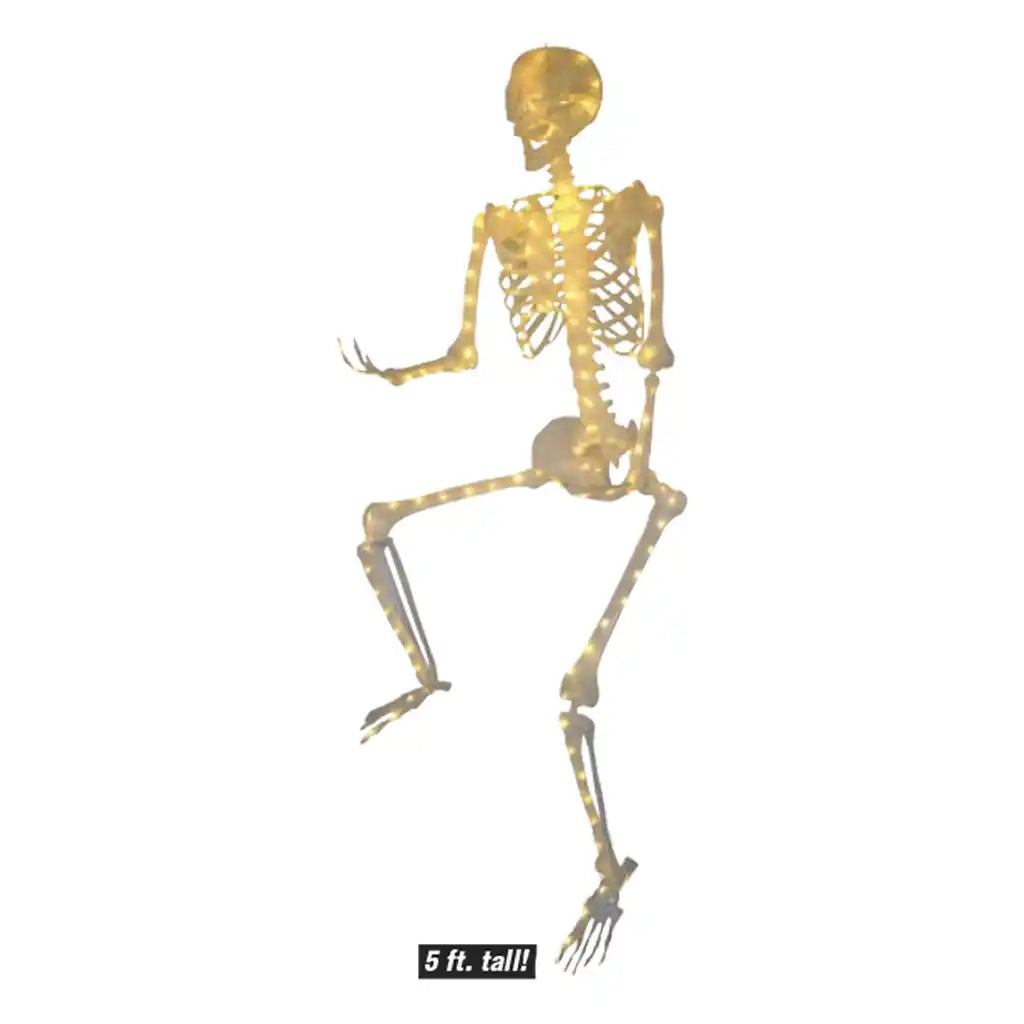 Skeleton with  Whole Body Light String, 5ft