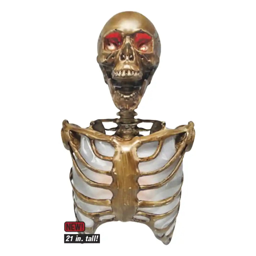 Torso with  Lite Up Eyes &amp; Flame Body