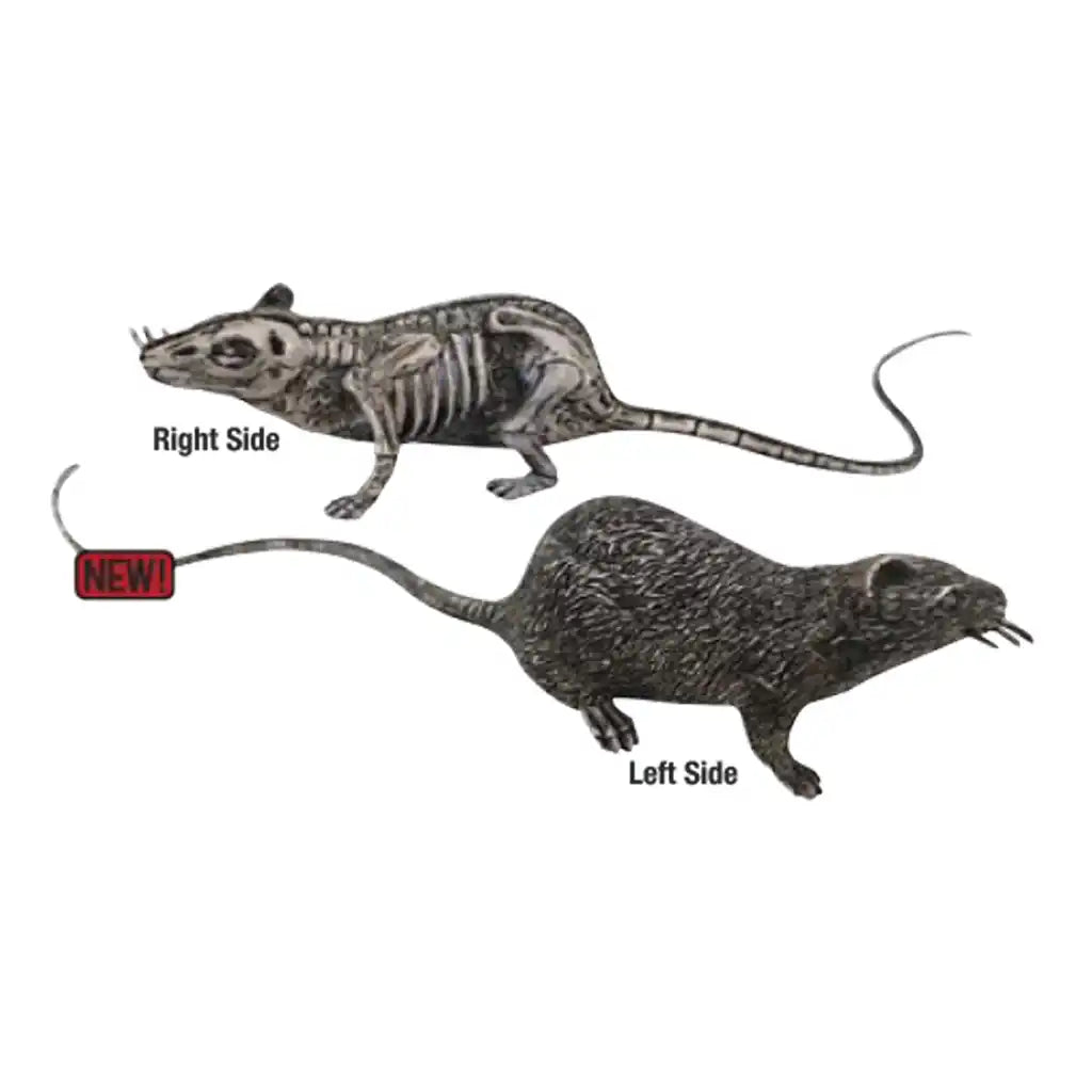 Rotten Skeleton Rat, 7.9in