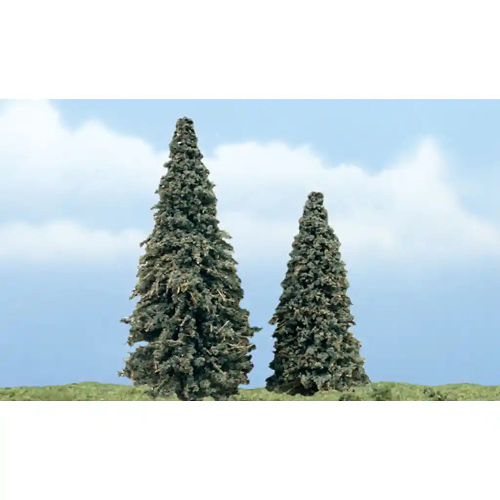 Prem Conifer 2/Pk 3in - 4in